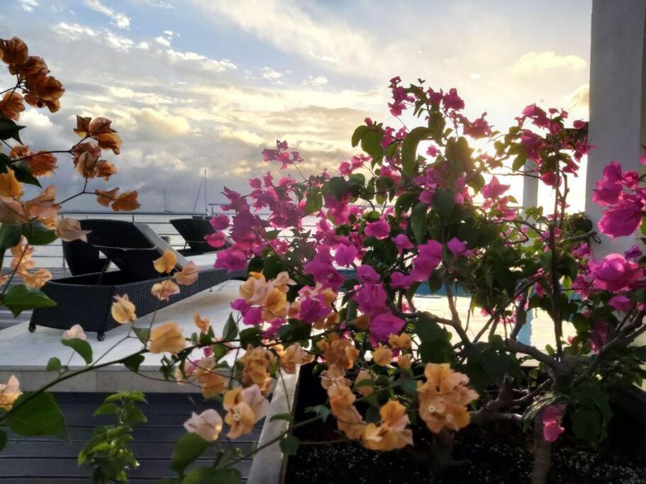 Tradewinds Apartments خليج سِمبسون المظهر الخارجي الصورة
